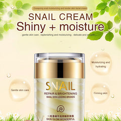 Natural Snail Cream Ageless Anti Wrinkles Lifting Facial Cream